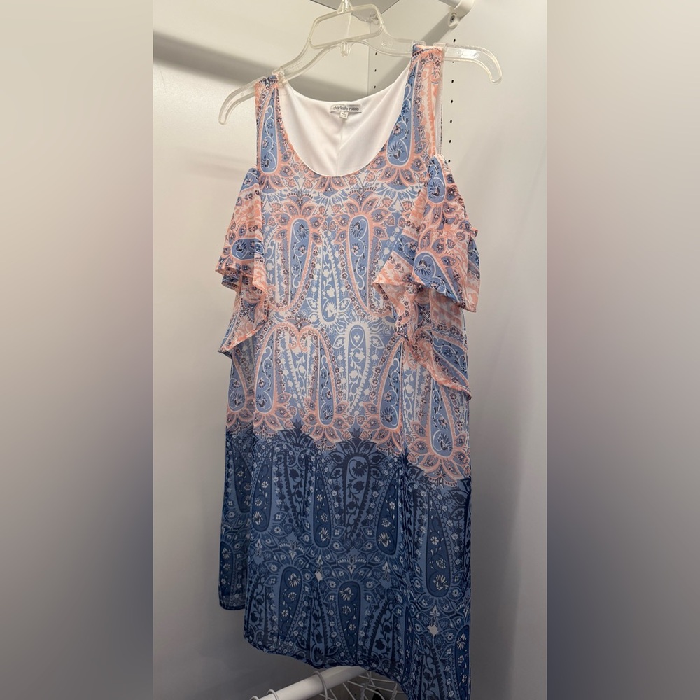Blue and Pink Paisley Women's Dress